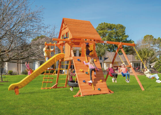 Parrot Island Playcenter XL w/ Wood Roof, Treehouse Panels and Green Scoop Slide